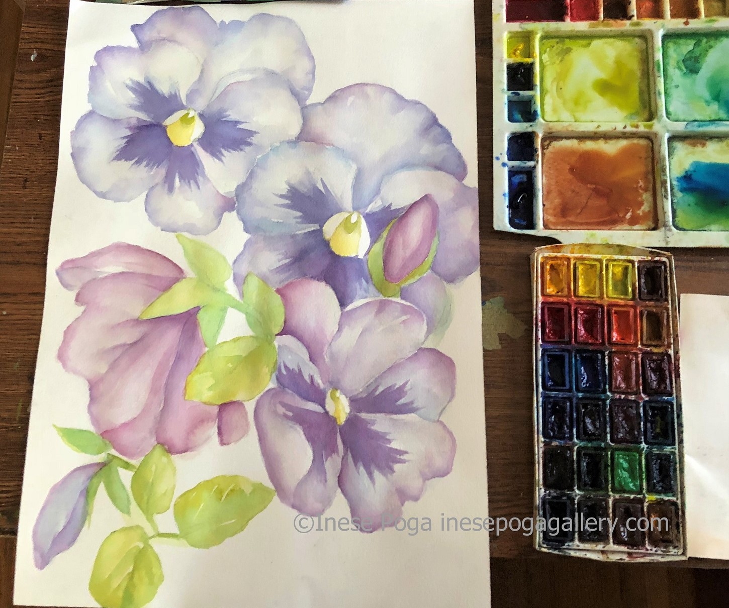 Pansy Painting Archives Inese Poga Art And Paintings