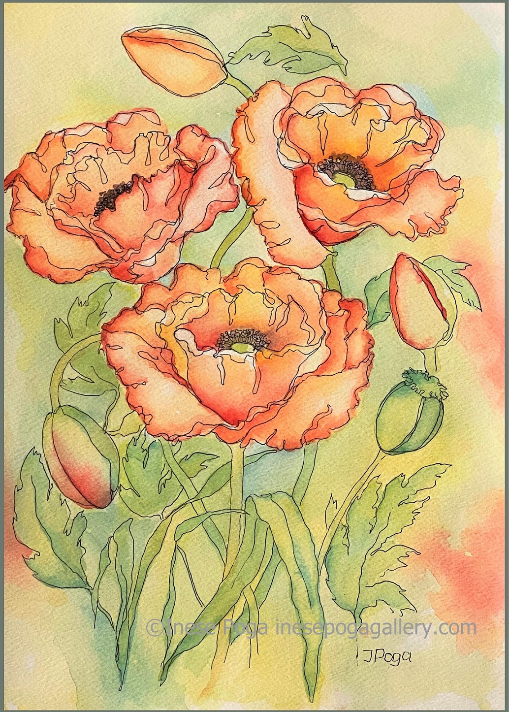 Watercolour Sketchbook (Orange Flowers)