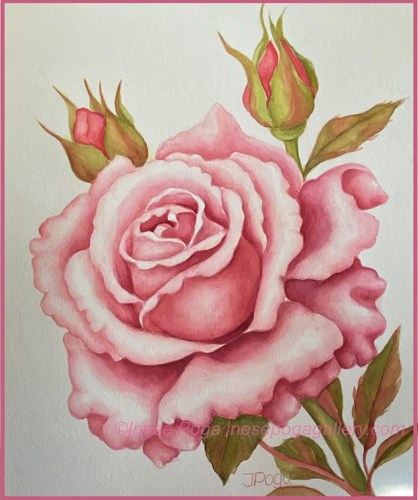 rose painting Archives INESE S ART STUDIO