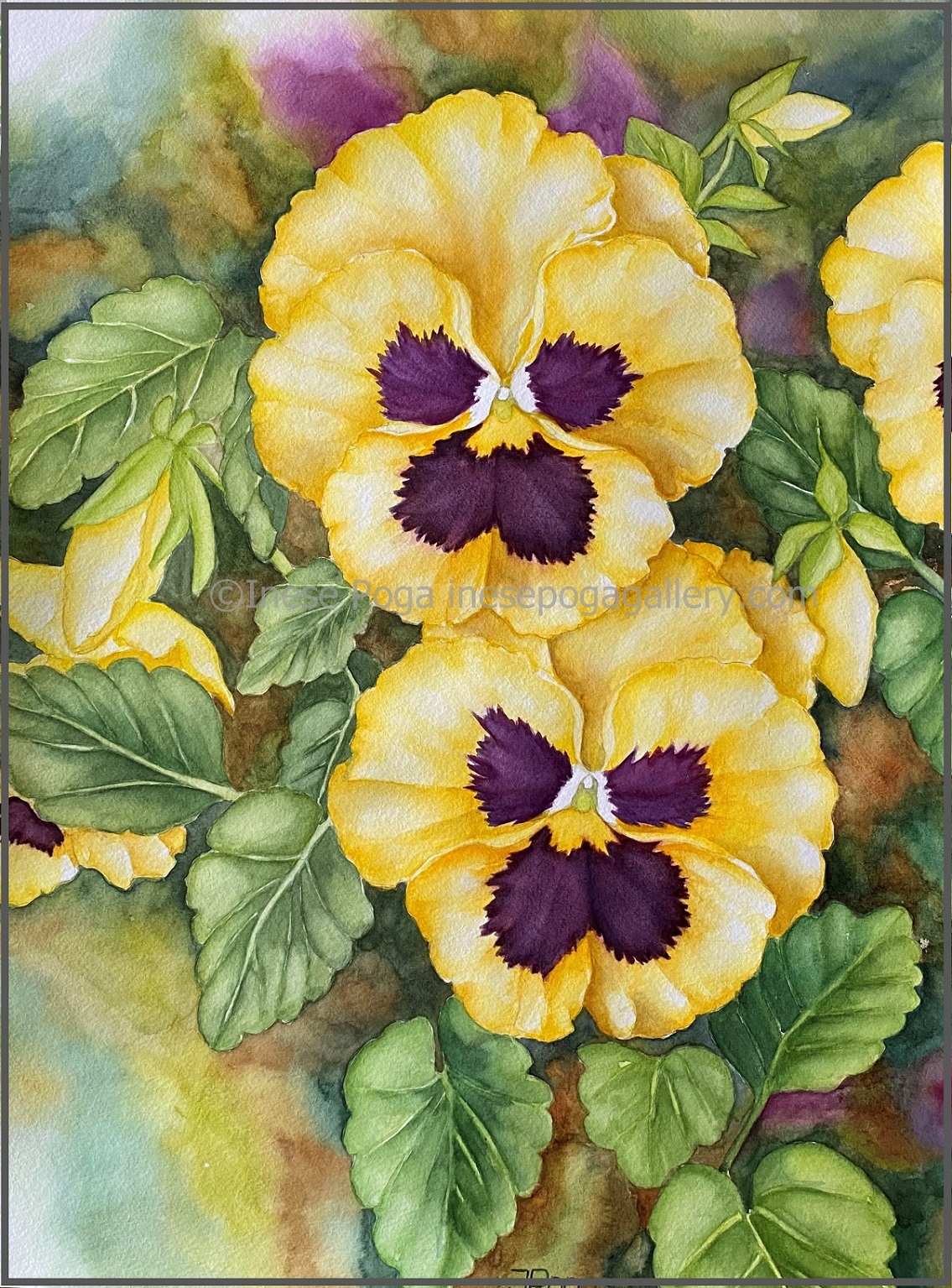 Pansy Flowers Painting | Art of Paint by Numbers